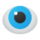Vision Icon